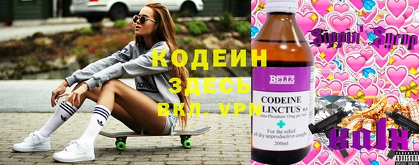 ешки Алексин