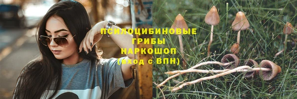 ALPHA-PVP Алексеевка