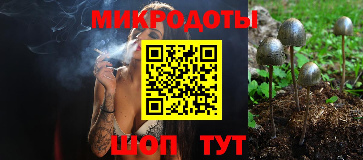 Галлюциногенные грибы мицелий Кропоткин