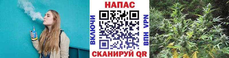 Бошки марихуана OG Kush Кропоткин